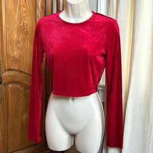 Forever 21 Long Sleeved Red Velvet Crop Top